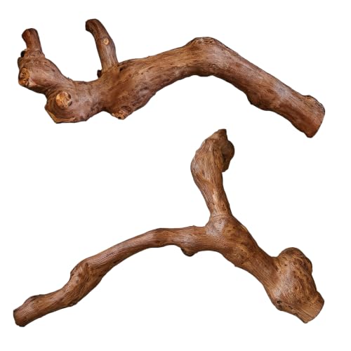 BNOSDM 2PCS Reptile Wood Branches Decor,9.8in Lizard Habitat Natural Wood Decoration,Snake Climbing Branch Accessories,Terrarium Tree Trunk Ornament for Bearded Dragon Gecko Frog Chameleon Spider - color: 2Pcs 9.8in Grapewood Branches