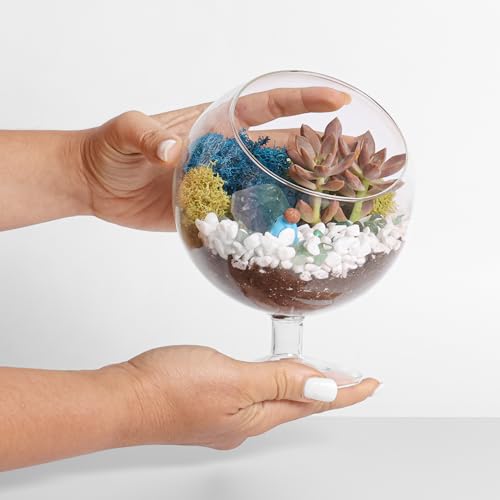 Creations by Nathalie DIY 6" Chalice Terrarium Kit Build Your Own Glass Terrarium for Adults & Teens, DIY Terrarium Kit with Live Moss, Crystals, Soil (Plant Not Included) - color: 6" Chalice