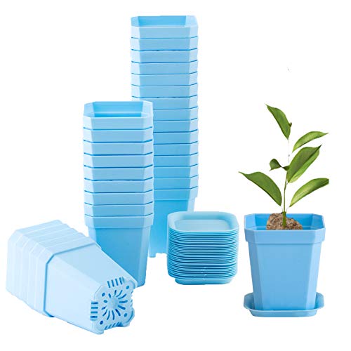 30Pcs 3" Plants Nursery Pot with 30 Saucers Blue, Square Planting Pots | 3 inch Thick Plastic Flower , Plant Seedling Pots, Seed Starting Pots Outdoor Garden - color: Blue