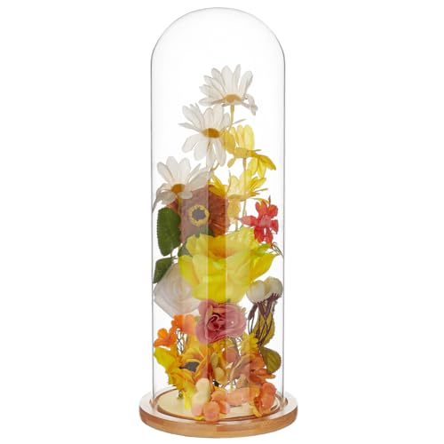 BENECREAT 14.4x5.6 Inch Glass Cloche Display Dome, Transparent Flower Glass Cove with Tan Bamboo Base for DIY Flower Craft Collectibles Specimens Plants Dustproof - color: Tan