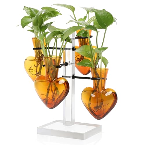 Plants Propagation Stations Plant Terrarium Kit Gift for Women - color: Amber