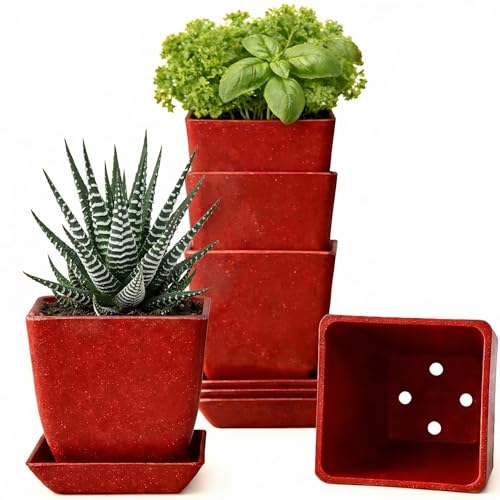 Small Plant Pots w/Drainage Holes for Mini Herb & Succulent Planter - color: Red