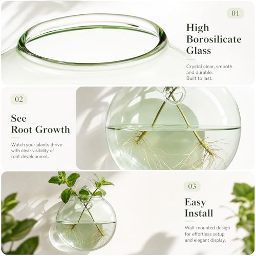 LemonRoad 3 Pcs Propagation Wall Hanging Glass Flower Vase Pink Green Blue Oblate Wall Vases for Flowers Hydroponics Plant Propagation Station Terrariums Glass Planter Gifts for Plant Lovers
