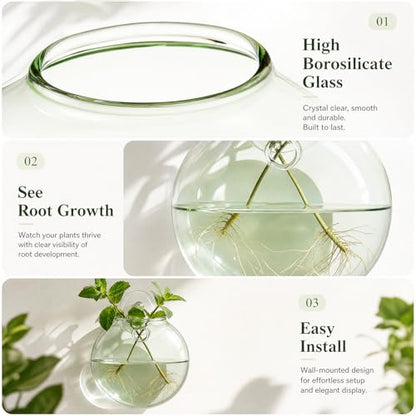 LemonRoad 3 Pcs Propagation Wall Hanging Glass Flower Vase Pink Green Blue Oblate Wall Vases for Flowers Hydroponics Plant Propagation Station Terrariums Glass Planter Gifts for Plant Lovers