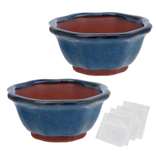 Bonsai Planter Succulent Small Glazed Pots, Value Set of 2 + 4 Soft Mesh Drainage Screens