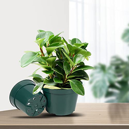 DAPERCI inches Nursery Pot Plant Grow Sturdy Flower pots in Bulk Price 20P Green