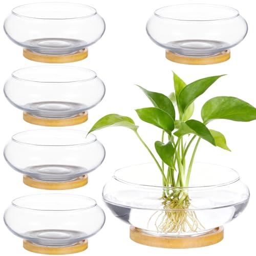 6PCS Lotus Bowl Planter with Wood Tray, 6 Inch Round Glass Vase for Hydroponics, Glass Fish Bowl, Bowl Planter for Plants Indoor Windowsill, Home Decor (6PCS) - color: 6pcs
