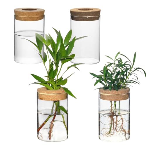 Separated Desktop Glass Flower Vases - Ideal Plants Propagation Stations for Living Room, Bedroom Decoration,Home Decor (4)