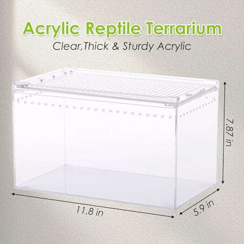 Reptile Cork Bark with Reptile Terrarium Acrylic Tarantula Breeding Box Magnetic Hermit Crab Habitat Tank Transparent Jumping Spider Cage for Insect Snail Amphibians Sling Isopods