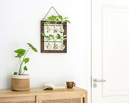 Mkono Double Layer Wall Hanging Glass Planter and Air Plant Frame Hanging, Modern Novel Flower Bulb Vase Plant Terrarium with Retro Wooden Stand, Plants Home Garden Office Decor(Plant Not Included)