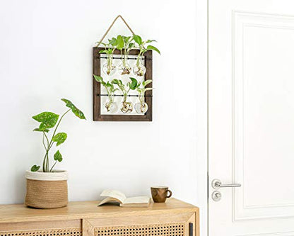 Mkono Double Layer Wall Hanging Glass Planter and Air Plant Frame Hanging, Modern Novel Flower Bulb Vase Plant Terrarium with Retro Wooden Stand, Plants Home Garden Office Decor(Plant Not Included)