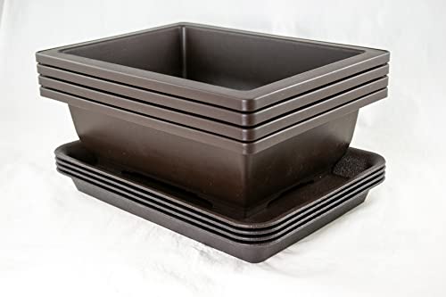 4 Sets Rectangular Plastic Bonsai Training Pot, Cactus & Succulent Planter + Tray 10''x 7.5''x 3'' - Dark Brown