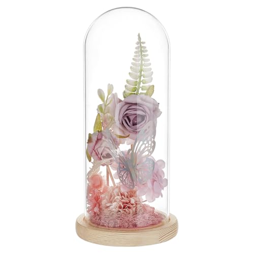 BENECREAT Arch Shape Glass Cloche with Wood Base, 9.84x3.74inch Clear Glass Display Dome for Home Decor, Bell Jar Display Case to Showcase Plants Collectibles Keepsakes, Navajo White. - color: Navajo White, size: Inner: 9.84x3.74 Inch