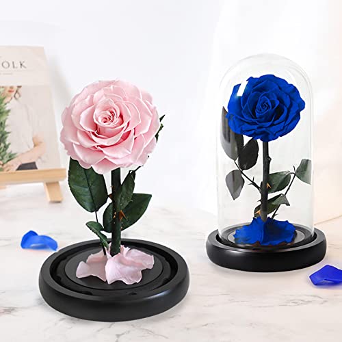 NBEADS Eternal Flower Glass Display Dome Cloche, Glass Display with Wood Pedestal Bell Jar Cloche for Valentine's Day Mother's Day Flower Decorations Crafts, Black Base