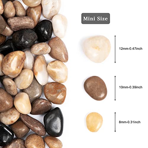 11lbs Natural River Rocks, Polished Pebbles for Plants Garden, 0.3-0.8 inch Decorative Peach Stones, Ideal for Fish Tank, Vases, Crafting, Home Decor and Garden Landscaping Rocks,Mix - size: 11 Pounds, style: Mixed