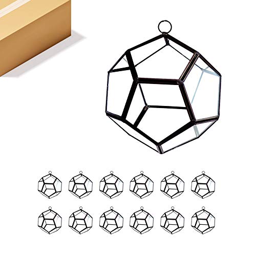 WGV Hanging Geometric Planter Terrarium Bulk Width 5.5" Height 6" Clear Glass Black Frame DIY Succulent air Plant Miniature Fairy Garden Windowsill Decor Globe 12 Pieces - color: Black (1 Case), size: Geode Small