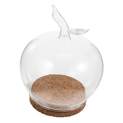 Homsfou Decorative Glass Dome with Cork Tray 6.29X5.31X5.31In Clear Glass Cover for Preserved Flowers Candles Succulents Home Decor and Wedding Centerpiece