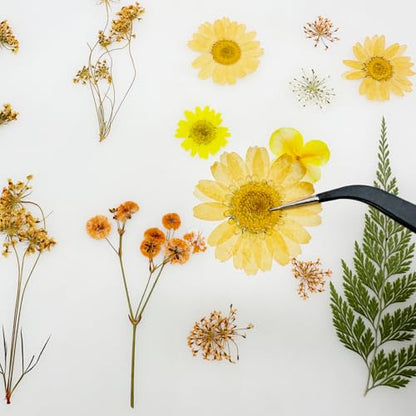 Cayway 33 PCS Dried Pressed Flowers for Resin, Real Pressed Flowers Dry Leaves Kit Natural Dried Pressed Leaves for Art Crafts Resin Scrapbook Supplies Soap Candle DIY, Yellow - color: Yellow-orange-33