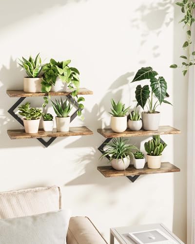 Bamworld Floating Shelves for Wall Planters Indoor Hanging Plant Shelves - color: Brown-rhombus, size: 2 pcs
