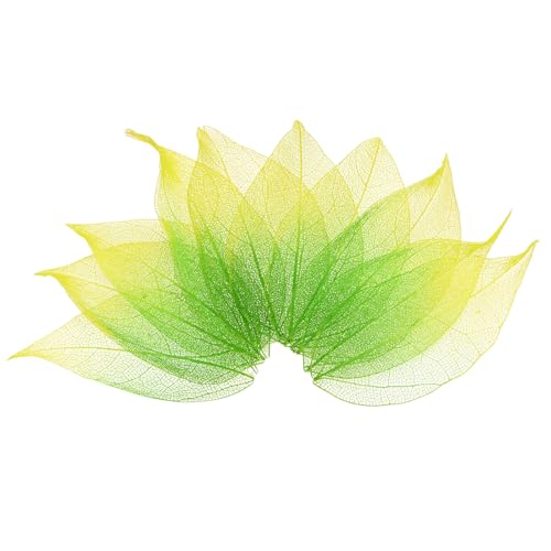 M METERXITY 100-Pack Skeleton Leaves, Natural Rubber Tree Dried Pressed Leaves Vein for Resin/DIY Crafts Card/Scrapbook/Wedding, Small Leaves Decorative [4-6cm, Dark and Light Green] - color: Dark and Light Green