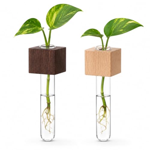 2 PCS Test Tube Vase Magnetic Plant Holder Flower Vase for Refrigerator Decor