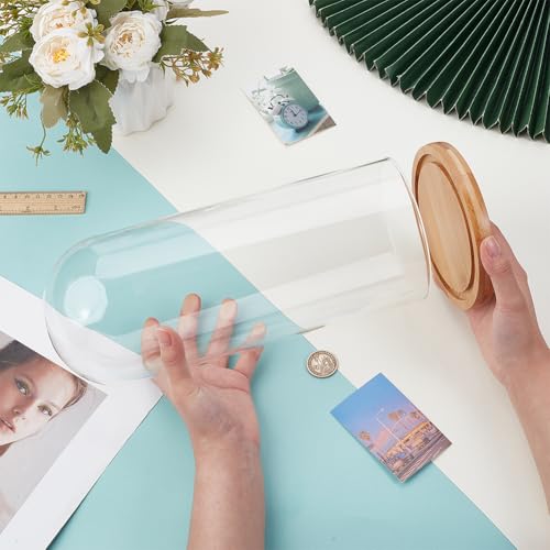 BENECREAT 4.6x12inch Eternal Transparent Flower Glass Cover, Glass Display Dome Cloche Jar with Sandy Brown Solid Wood Base for DIY Flower Craft - color: Sandy Brown