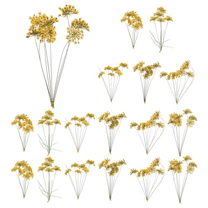 MECCANIXITY 18 Pcs Natural Dried Pressed Flowers for Craft, Lace Real Pressed Dried Flowers Colorful Bouquets for Resin Moulds DIY Scrapbooking Candle Jewelry Making, Yellow - color: Yellow