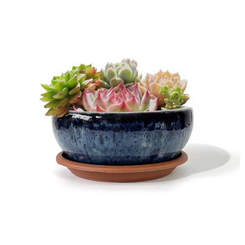 7 Inch Glazed Terracotta Plant Pot Round Ceramic Succulent Planter Pot with Drainage and Mesh Pad Cactus Clay Bonsai Pot (Blue) - color: Blue, size: 7 Inch