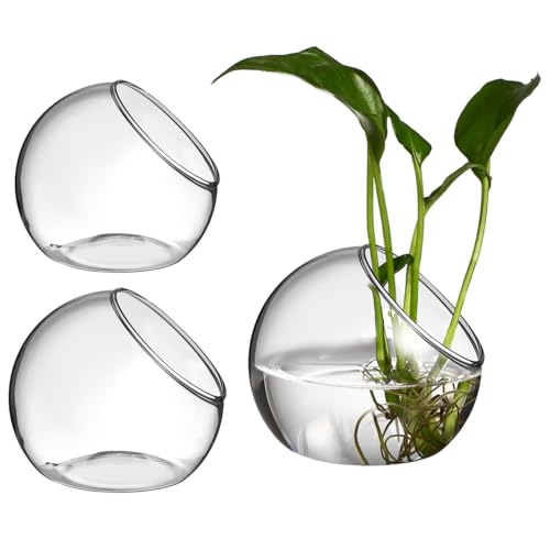 Toddmomy 3pcs Glass Terrarium Containers Clear Hydroponic Propagation Vases | Slanted Bowl for Air Plants, Succulents, Micro Landscape, Home Office Decor