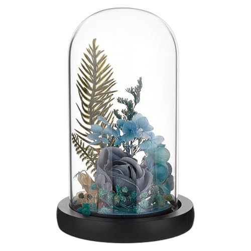 BENECREAT Glass Cloche Dome with Wood Base, 6.18x2.99inch Arch Display Dome for Plants and Collectibles, Complete Set Glass Bell Jar with Solid Wood Stand for Home Decor, Black - color: Black, size: Inner: 6.18x2.99 Inch