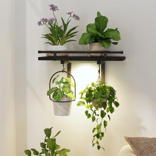 LASZOLA Wall Plant Shelves Floating Hanger Holder with Grow Lights, Black | Window Stand with Hooks, Metal and Wood, Flower Hanging Display Rack for Indoor Bedroom Living Room Bathroom Kitchen Decor - color: Matte Black with Light, size: 1