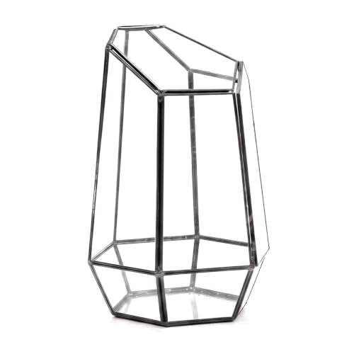 KRAFTSTORIES Geometric Glass Terrarium Planter with Door | Modern Style Black Container | Indoor Tabletop Home, Garden & Office Decor (Terrarium Only)