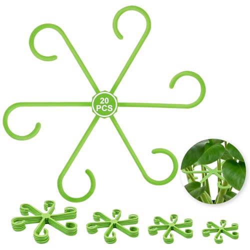20PCS Plant Stem Supports for Monstera, 4 Sizes for Indoor Plants - color: green