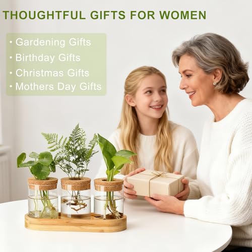 Plant Propagation Stations,3 Pcs Glass Vases with Wooden Stand &Lid - size: 8.7"L x 3.5"W x 4.7"H
