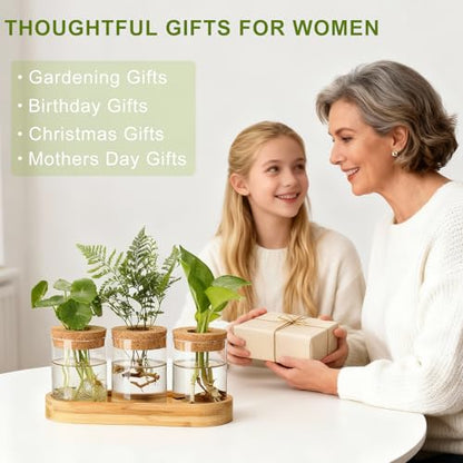 Plant Propagation Stations,3 Pcs Glass Vases with Wooden Stand &Lid - size: 8.7"L x 3.5"W x 4.7"H