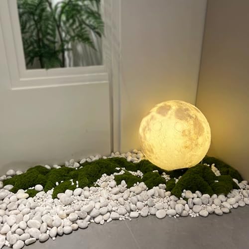 10LB White River Rocks - 2-3 inch High Polished Decorative Pebbles for Landscaping, Outdoor Decor and Plants - size: 10LB, style: White