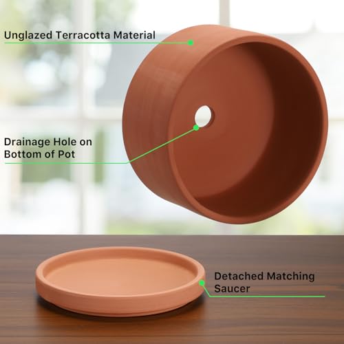 JUXYES 6 Inch Shallow Terracotta Pots with Holes and Saucers for Succulents | Built-in Drainage Hole, Wide Shallow Planter Clay Flower Pots for Indoor & Outdoor, Planter for Succulent, Cacti, Bonsai - size: 6 Inches