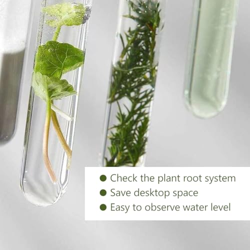 8 Pcs Glass Plant Propagation Test Tubes, Glass Tubes for Plants Plant Propagation Large Test Tube Tubes Hydroponic Test Tube for Hydroponic Flowers Home Office Desktop Decoration (15cm)