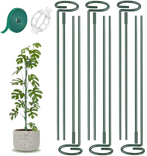6 Pack 24 in Extendable Plant Support Stakes for Outdoor Plants and Flowers