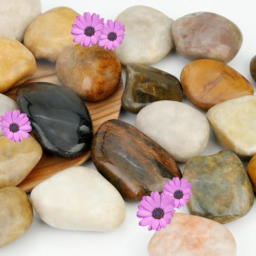 NUPICK 3lb River Rocks for Plants Indoor, 2-3Inch Pebbles for Vase Fillers | Mixed Decorative Gravel for Fish Tank, Natural Polished Stones for Succulent, Bonsai, Landscaping, Bird Baths - color: Mixed, size: 2-3"-3lb