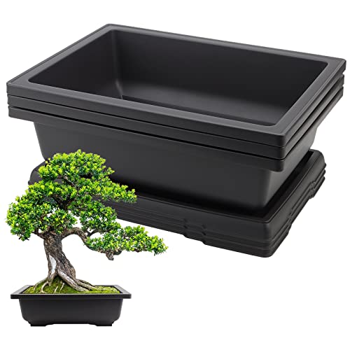 3 Pack 14 Inch Large Bonsai Pots, Rectangular Built in Mesh Plastic Bonsai Training Pots with Trays, Plant Flower Tree Growing Bonsai Planter for Garden Supplies, Yard, Office, Room, Balcony - size: 14 Inch 3 PACK