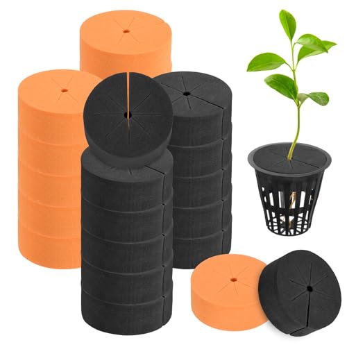 M METERXITY 20-Pack Cloning Collars Inserts, Hydroponics Sponge Systems Cloning DIY Foam Cloner Inserts Fits 2" Net Pots for Hydroponic/Clone Machines/Plant Germination [Black, Orange] - color: Black, Orange