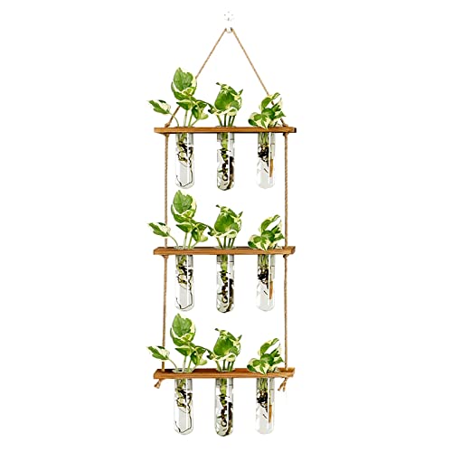 XXXFLOWER 9 Tube Vases Wall Hanging Propagation Station+ 4 Tube Vase Accessories