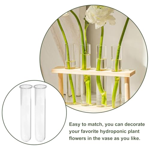 Kisangel 4pcs Plant Glass Test Tube, Clear Plant Propagation Tubes Hydroponic Glass Flower Vases for Home Garden Arrangement Water