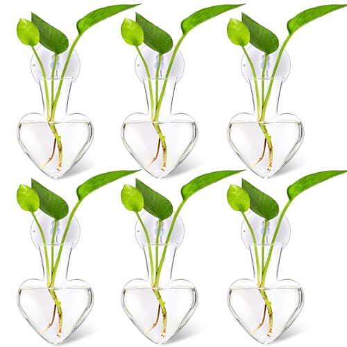 Maxdot 6 Pcs Wall Hanging Window Propagation Stations Glass Heart Plant Vase with Suction Cups Air Plant Terrarium for Hydroponics Home Office Decor - color: White