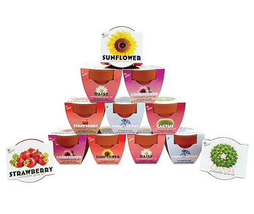 BUZZY Seeds Mini Terracotta Grow Kit, Assorted 12-Pack - Mini Terracotta Pot Grow Set - 100% Grow Guarantee - color: Classic Assorted