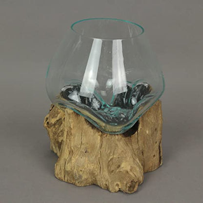 Molten Glass Vase on Teak Driftwood, 7.5 Inch | Clear Hand-Formed Bowl, Natural Wood Base, For Succulents, Air Plants, Herbs or Desktop Terrariums