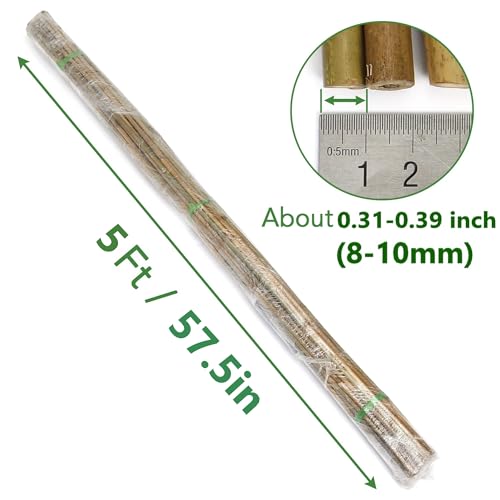 SWANGSA 75 Pack 5Ft (57.5inch) Garden Bamboo Stakes for Plant Support, Garden Poles for Tomatoes, Beans, Flowers, Potted, Indoor and Outdoor Climbing Plants - size: 5 Feet