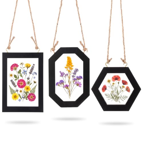 Novabright 3 Pcs Hanging Wood Pressed Flower Frame Set,Black - color: Black