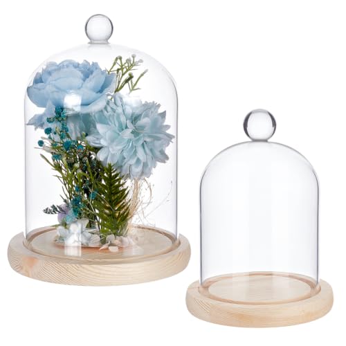 2 Pcs Round Glass Cloche Dome, Clear Decorative Tabletop Display Case with Wood Base and Globe Handle, for Fairy Lights Figurine Ornaments Plants Display Home Decor